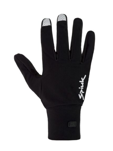 Anatomic Winter
