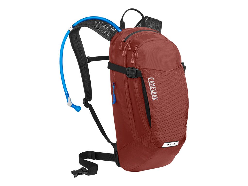 erp_trigger Mule 12 - Imagen 1