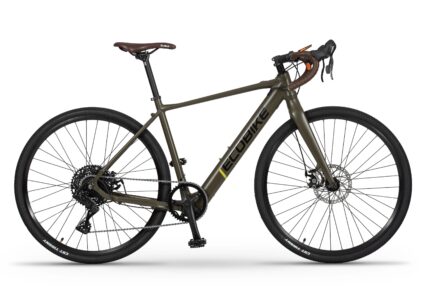 Ecobike Forest Arrow