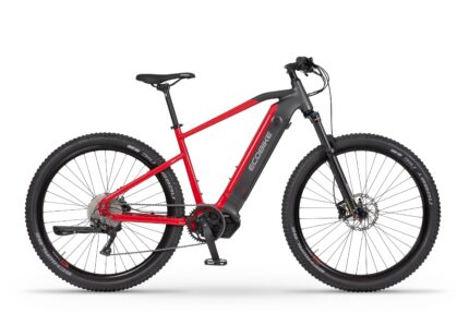 Ecobike RX500