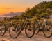 Una bicicleta gravel, una de montaña con doble suspensión y una híbrida con portabultos, aparcadas junto a una carretera que se convierte en pista de tierra entre pinos, con el mar Mediterráneo al atardecer