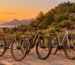 Una bicicleta gravel, una de montaña con doble suspensión y una híbrida con portabultos, aparcadas junto a una carretera que se convierte en pista de tierra entre pinos, con el mar Mediterráneo al atardecer