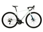 Kross Alta 4.0 Verde